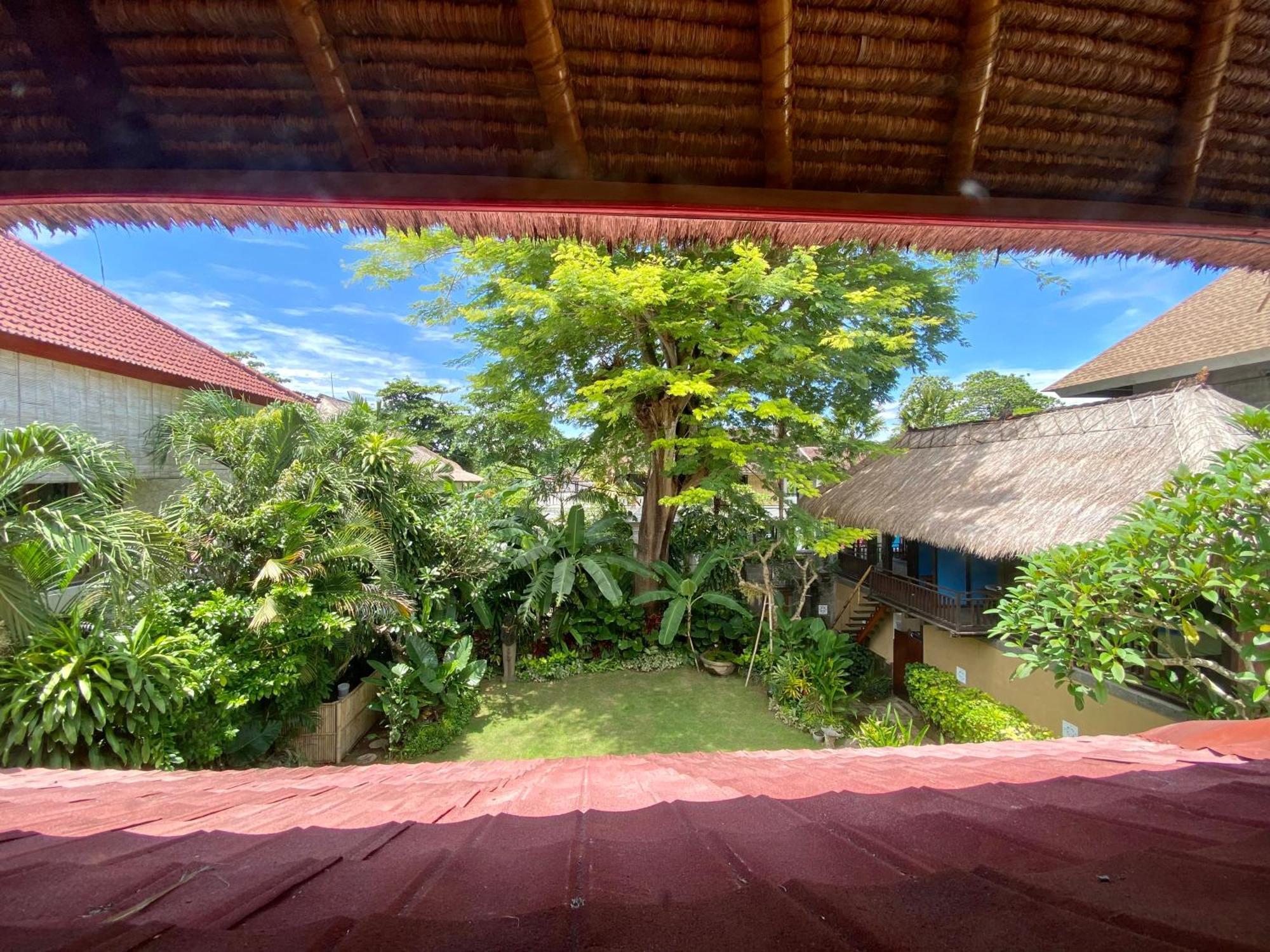 Little Tree House Hotel Sanur  Room photo